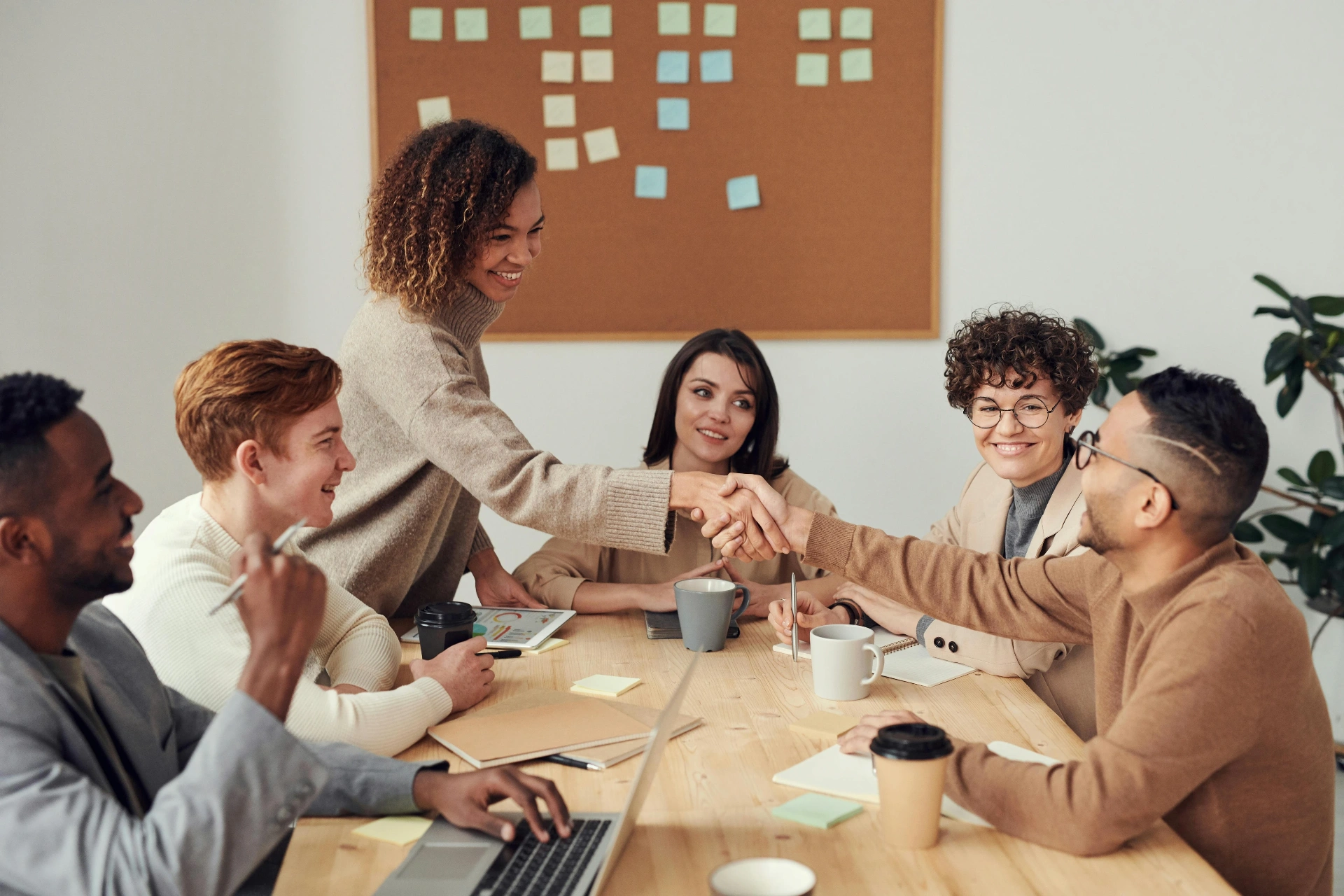 Team collaboration and partnership